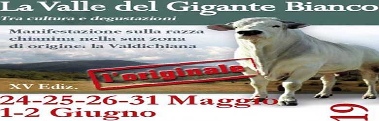 15° Sagra della Chianina 2019 - La Valle del Gigante Bianco 2019