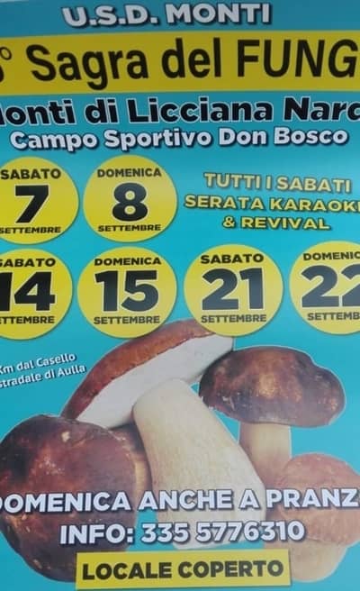 Sagra Fungo Monti 2019