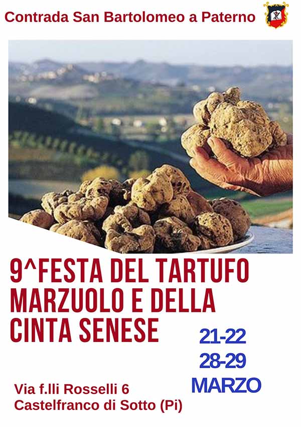 Manifesto Festa del tartufo Marzuolo e della Cinta Senese 2020 a Castelfranco di Sotto