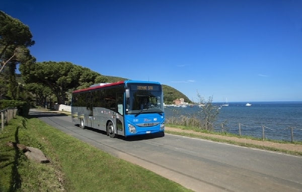 Bus Arezzo Mare 2020