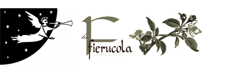 Fierucola Firenze Luglio 2020