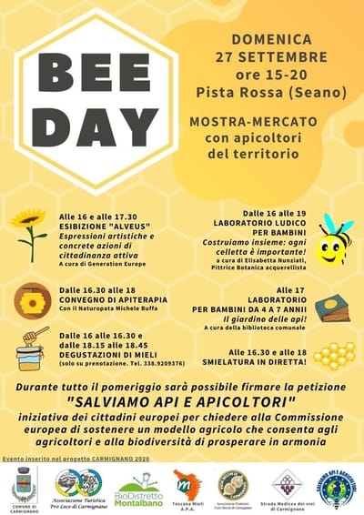 Bee Day Seano 2020