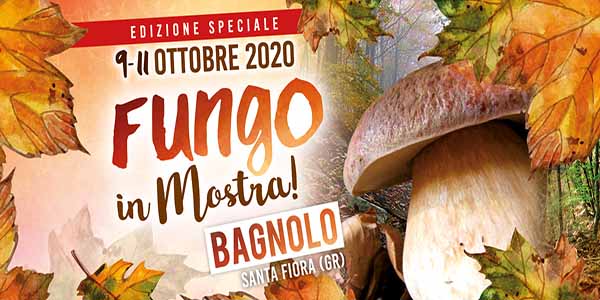 Sagra del Fungo Amiatino 2020 Mostra del Fungo a Bagnolo Santa Fiora