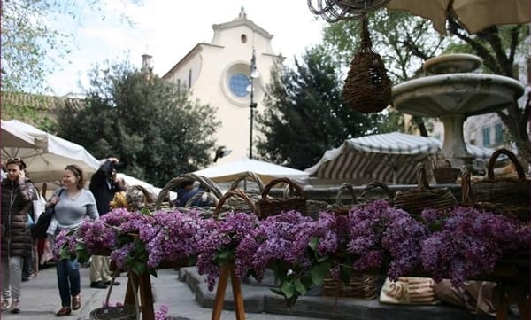 Fierucolina Autunno 2020 Firenze