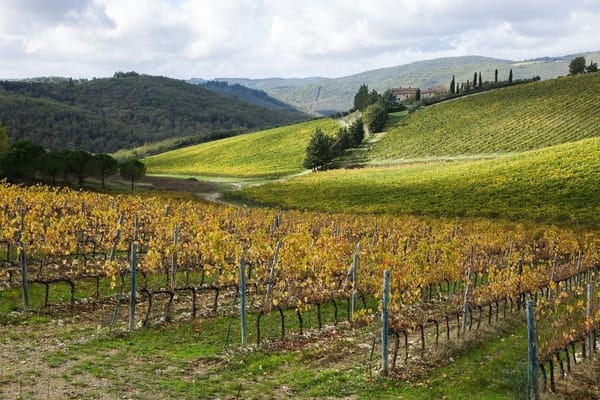 Colline Chianti