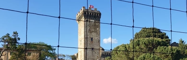 Tour guidati provincia di Pisa