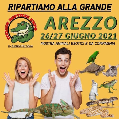 Esotika Pet Show ad Arezzo 26 27 giugno 2021 Cosa fare in Toscana