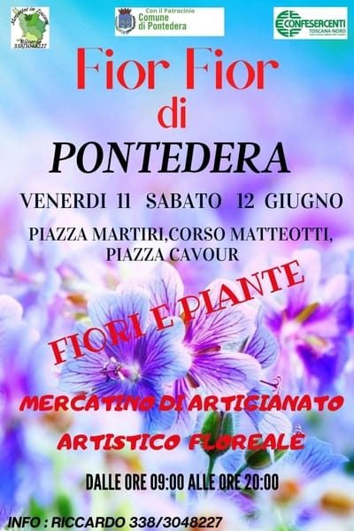 Fior Fior di Pontedera