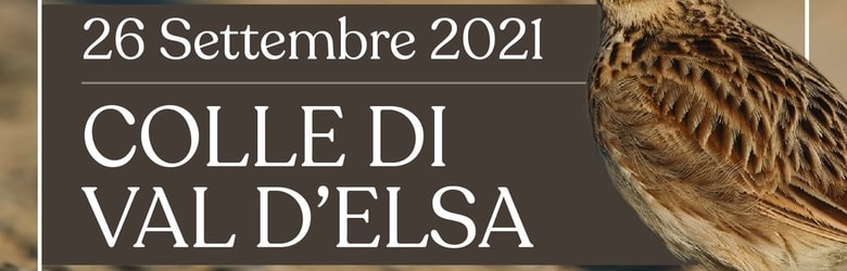 Fiere Siena Provincia Settembre 2021