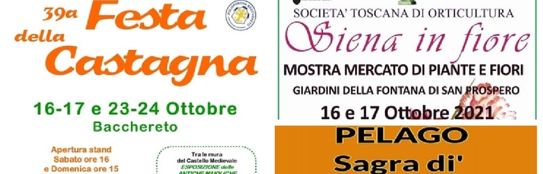 Mercatini Toscana Domenica 17 Ottobre 2021