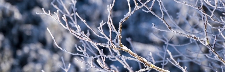 Meteo Toscana 6 Gennaio 2022