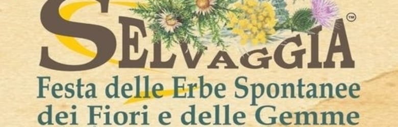 Festa Erbe Castelnuovo di Garfagnana