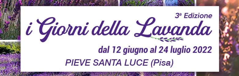 Campi di Lavanda Toscana 2022