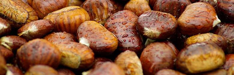 Come distinguere castagne e marroni