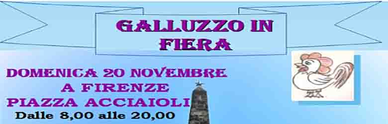 Evento Galluzzo in Fiera a Firenze domenica 20 novembre 2022