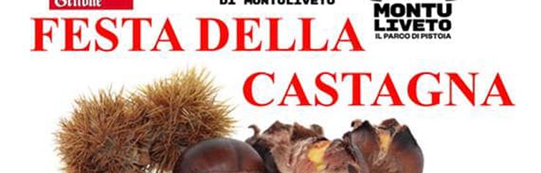 Sagradelle Castagne Montuliveto Novembre