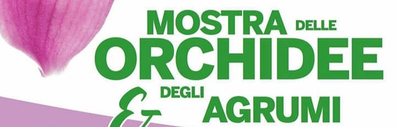 Mostre Fiori Toscana Febbraio Marzo 2023