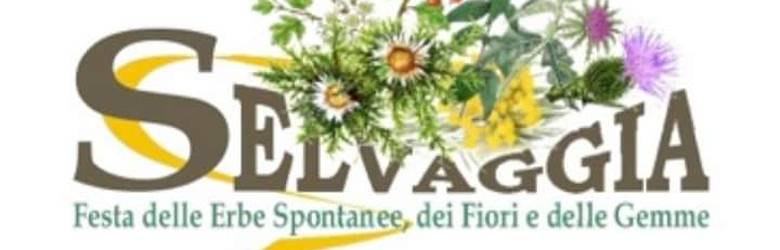 Fiera delle Erbe Garfagnana 2023