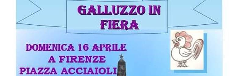 Mercati a Firenze Domenica 16 Aprile