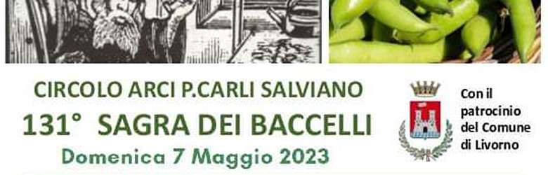 Sagra del Baccello Livorno 2023