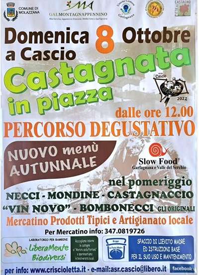 Castagnata in Piazza Cascio 2023