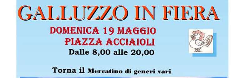 Mercati Firenze Domenica 19 Maggio 2024
