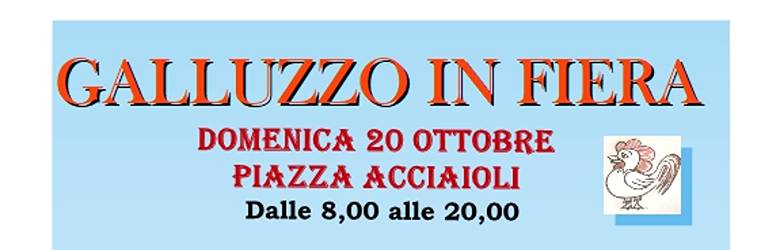 Mercati Firenze Domenica 20 Ottobre 2024