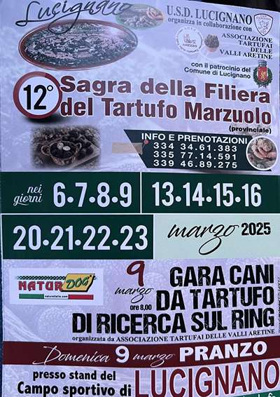 Sagra Tartufo Lucignano 2025